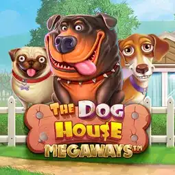 The Dog House Megaways game at GDAY77 Casino for Australia players The Dog House Megaways game at GDAY77 Casino for Australia players